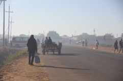 Donkey drawn cart captured doing wood delivery serices in a smokey Nkulumane morning. Pic Chris Tabvura