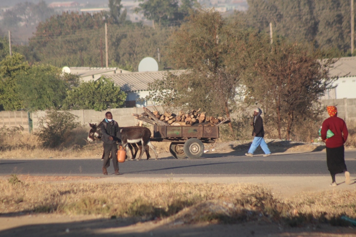 The coincidential image of renewable energy challenge, a cart full of fire wood for sale and a man going to fill his gas tank for cooking. Pic by Chris Tabvura